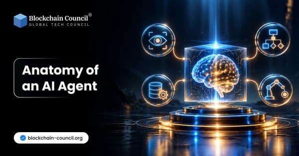 Anatomy of an AI Agent