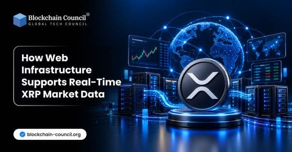How Web Infrastructure Supports Real-Time XRP Market Data