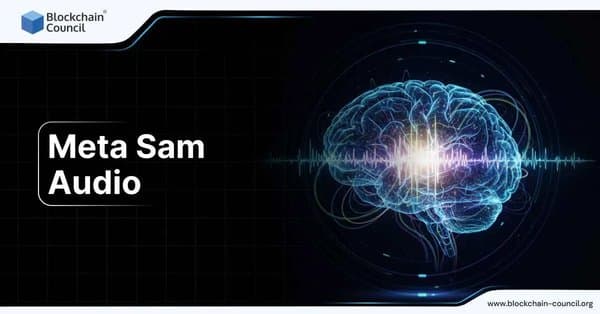 Meta Sam Audio