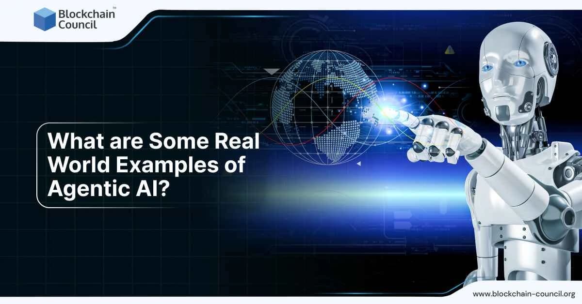 What are Some Real World Examples of Agentic AI?