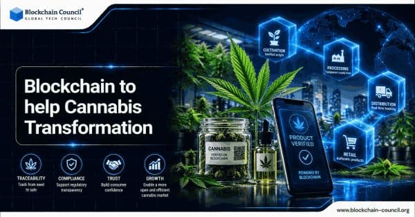 Blockchain-to-help-Cannabis-Transformation