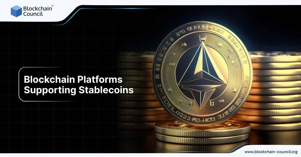 Blockchain Platforms Supporting Stablecoins