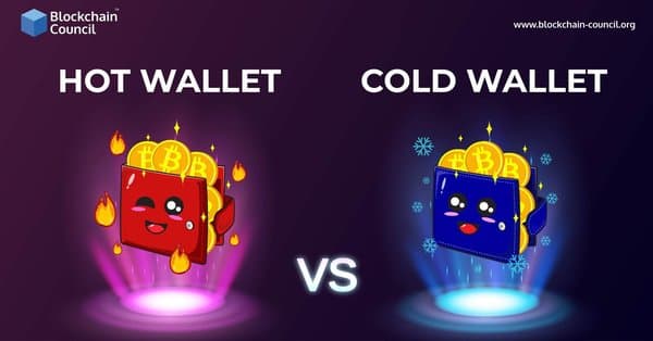 HOT WALLET VS COLD WALLET