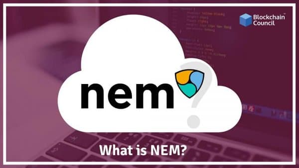 what-is-NEM