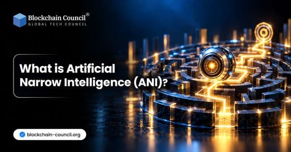 What is Artificial Narrow Intelligence (ANI)?