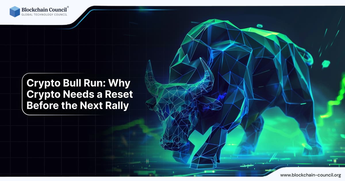 Crypto Bull Run: Why Crypto Needs a Reset Before the Next Rally