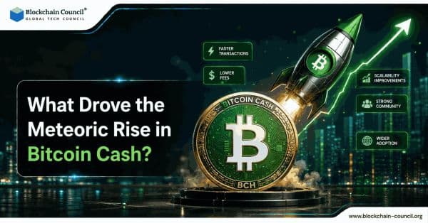 What drove the meteoric rise in Bitcoin Cash?