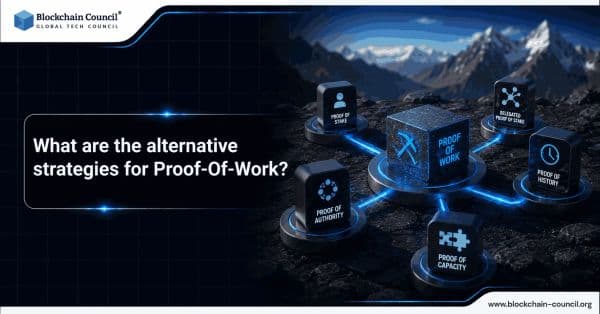 What-are-the-Alternative-Strategies-for-Proof-of-Work