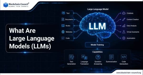What Are Large Language Models