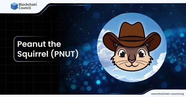 Peanut the Squirrel (PNUT)