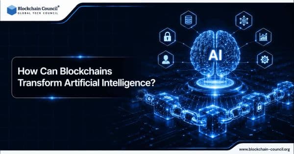 How Can Blockchains Transform Artificial Intelligence?