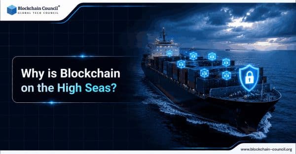 Why-is-Blockchain-on-the-High-Seas