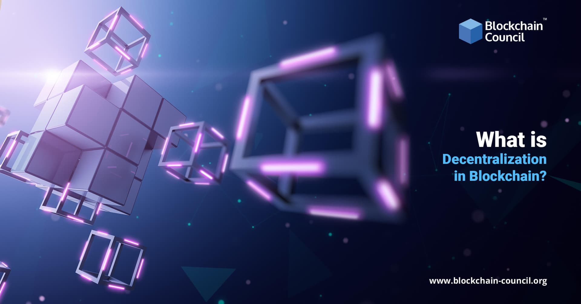 What is Decentralization in Blockchain?