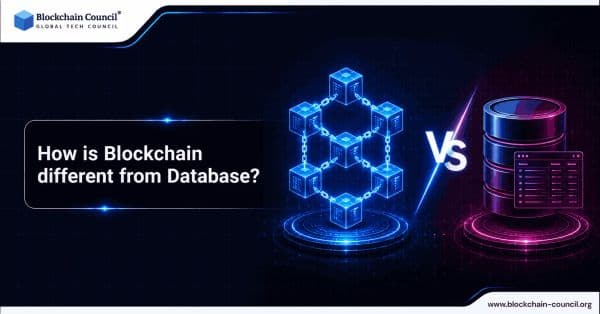 How is Blockchain different from Database?