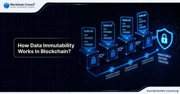 How Data Immutability Works In Blockchain?