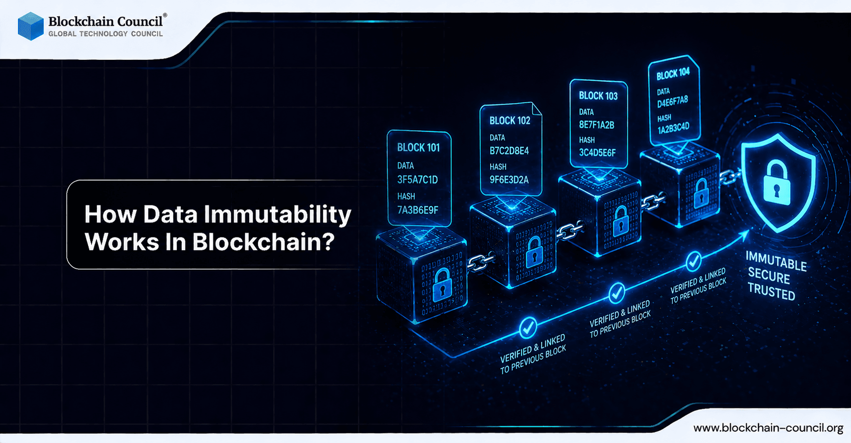 How Data Immutability Works In Blockchain?