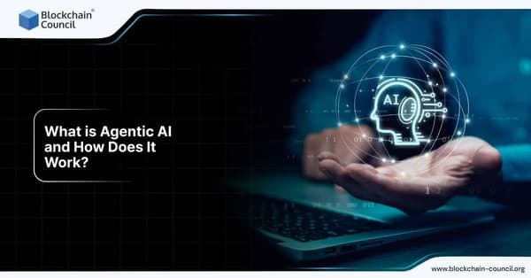 What Is Agentic AI and How Does It Work?
