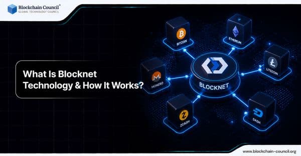 What Is Blocknet Technology & How It Works?