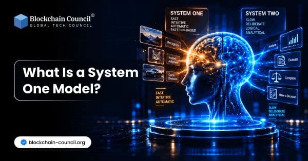 What Is a System One Model?