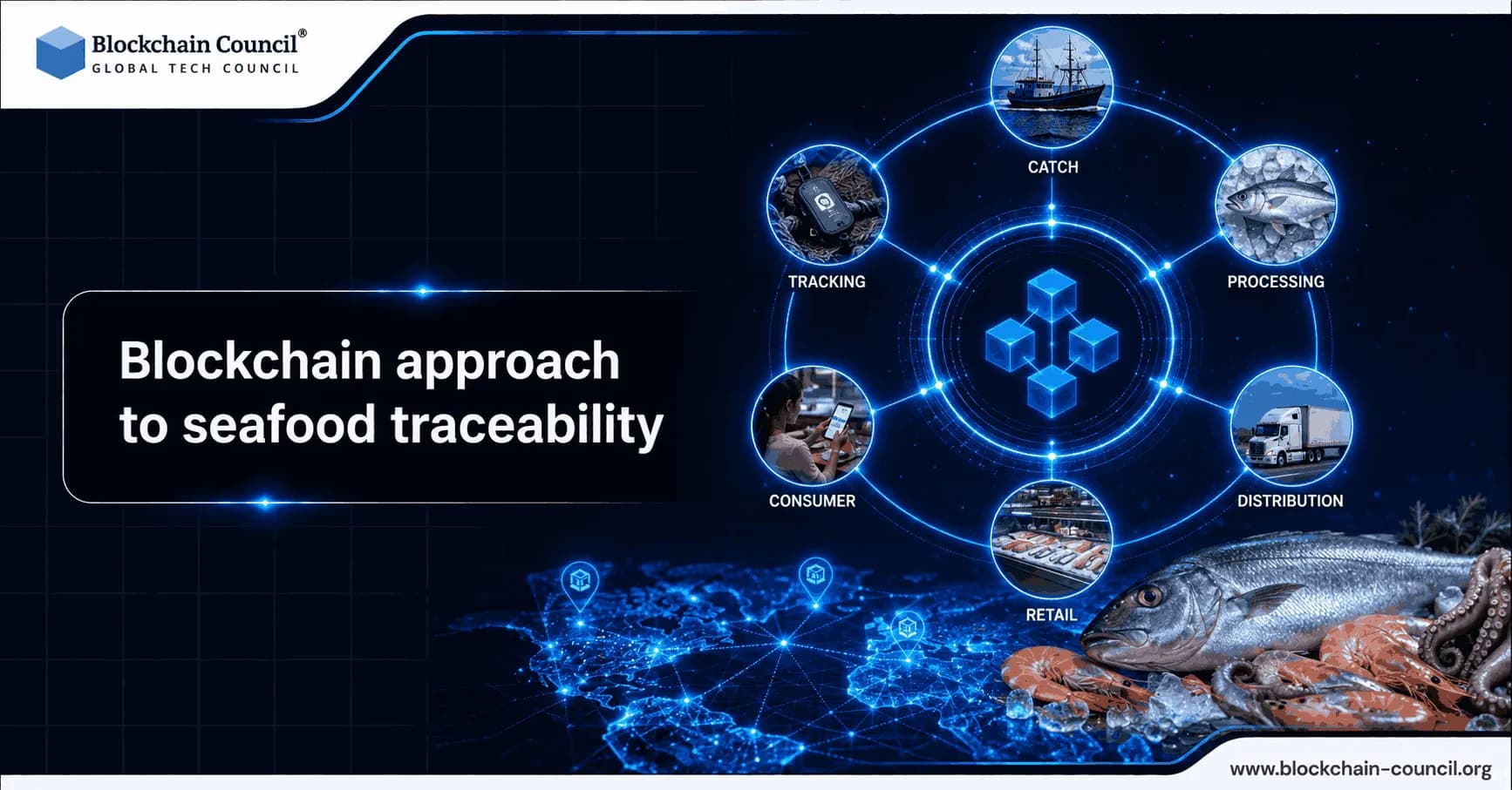 Blockchain-approach-to-sea-food-tracebilty
