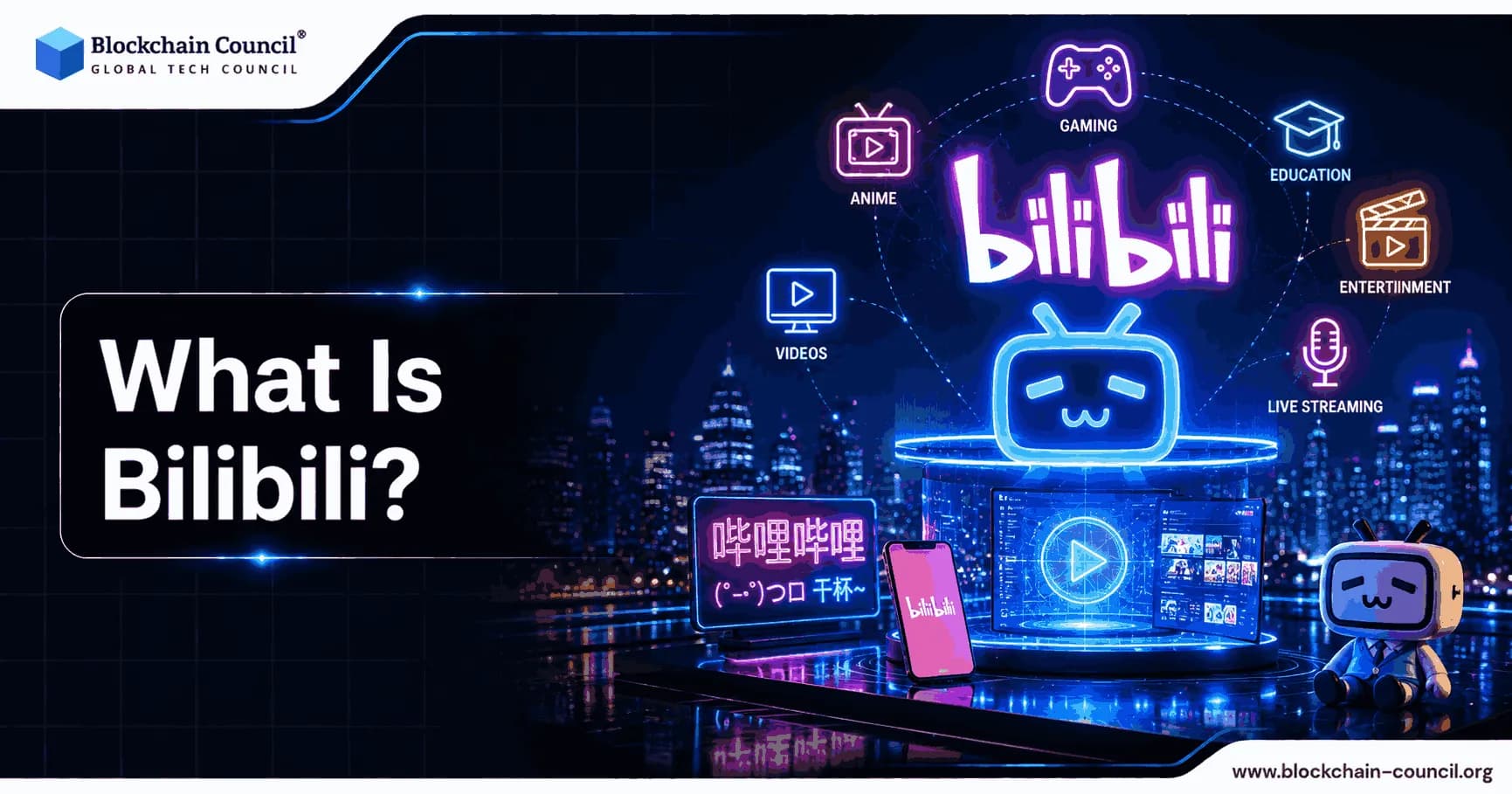 What Is Bilibili?