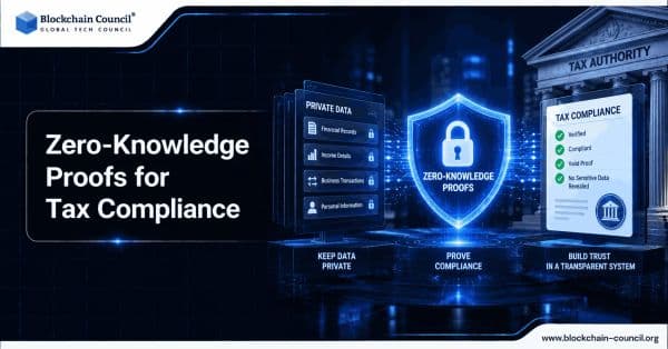 Zero-Knowledge Proofs for Tax Compliance