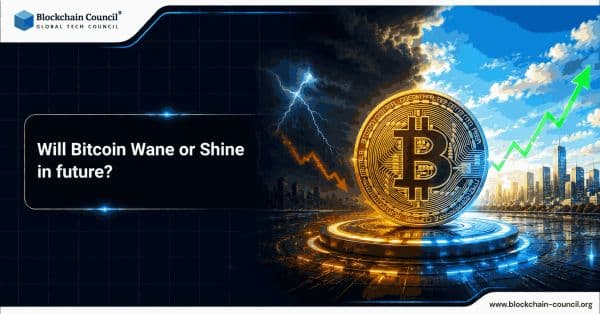 Will-Bitcoin-Wane-or-Shine-in-Future