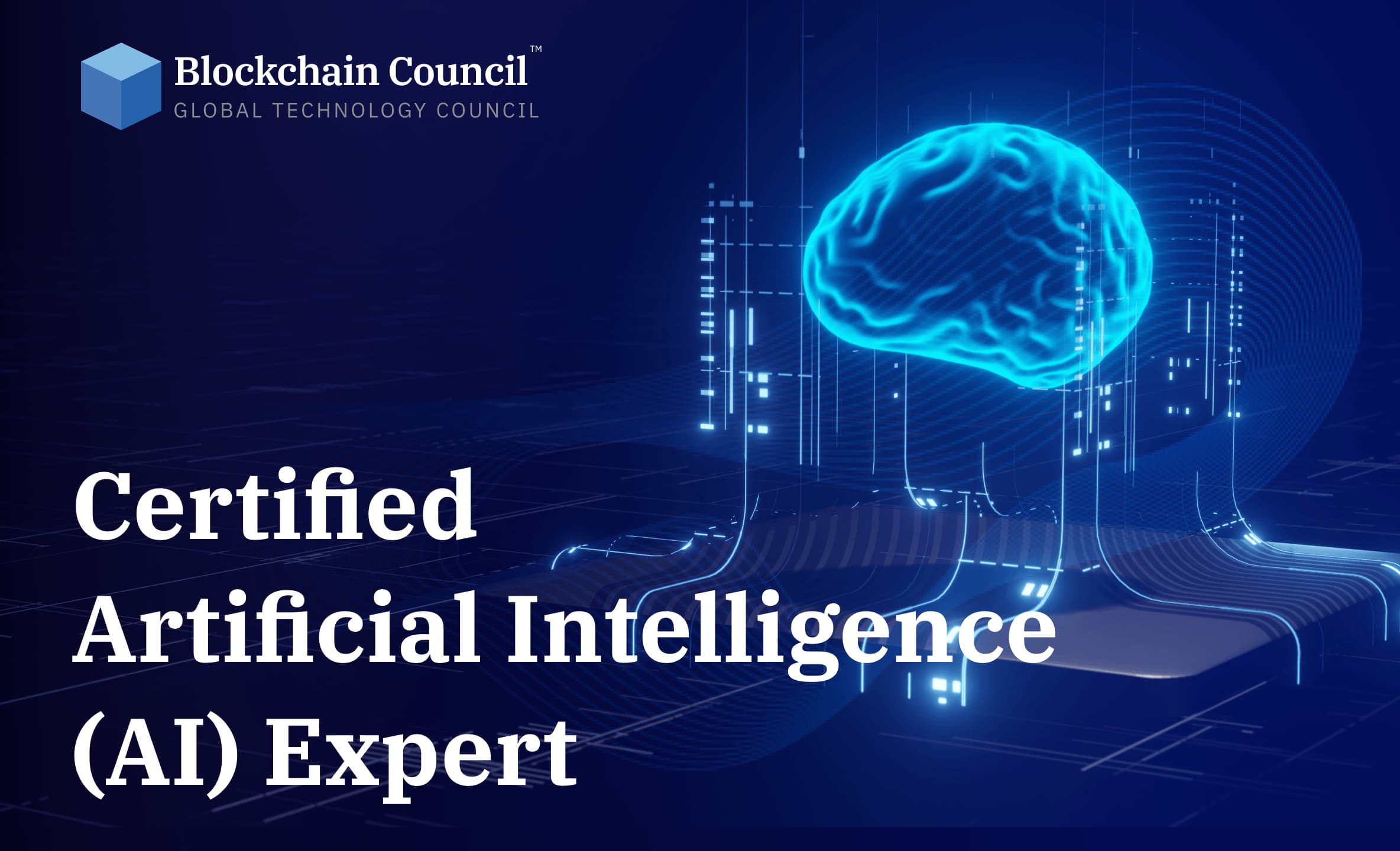 Certified Artificial Intelligence (AI) Expert hero video