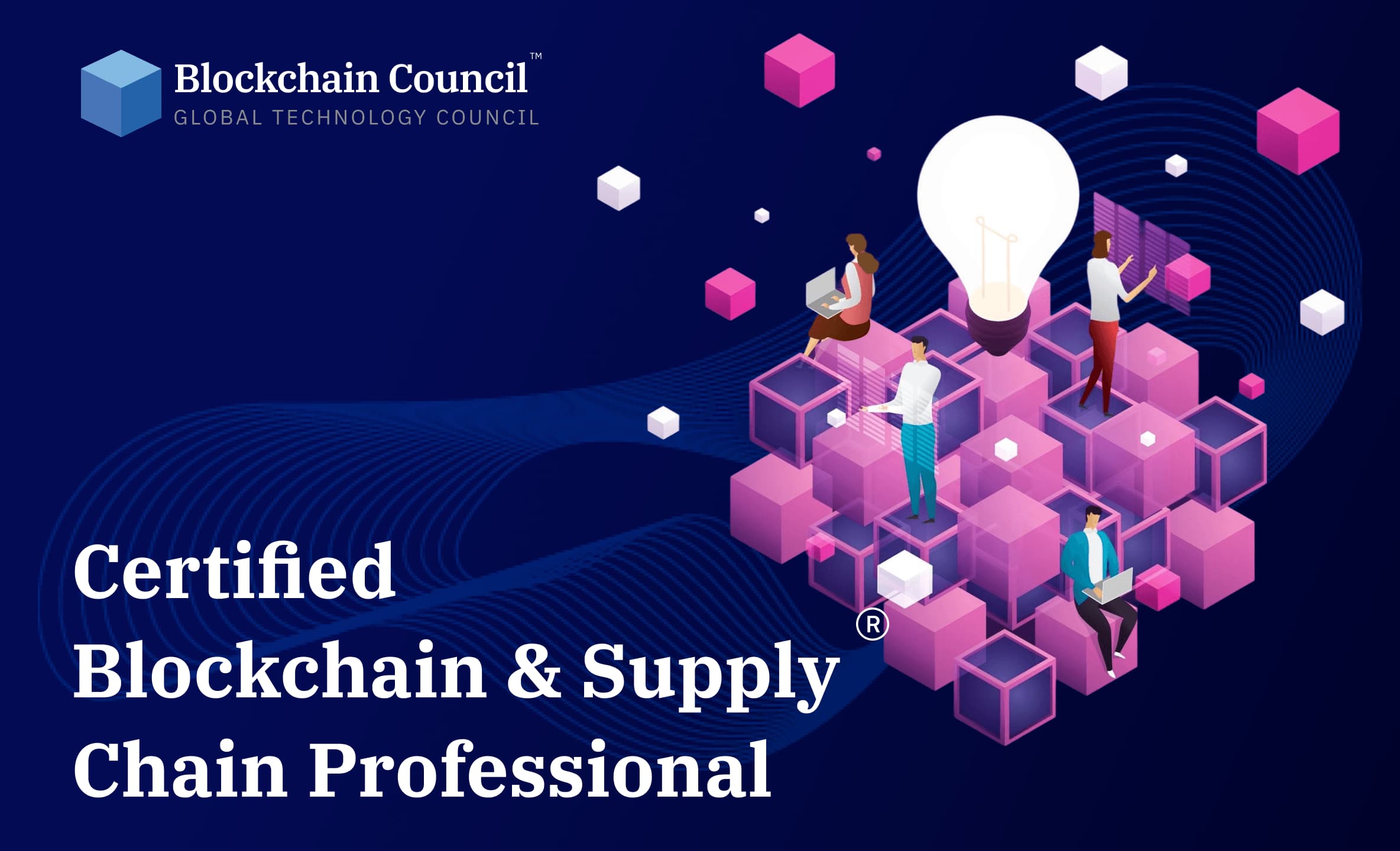 Certified Blockchain & Supply Chain Professional hero video