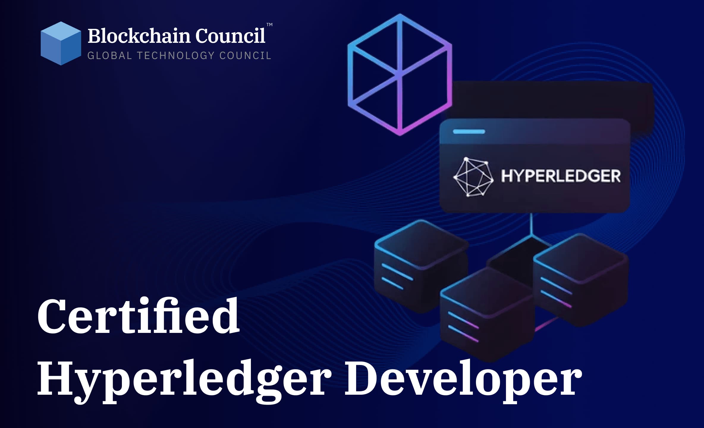 Certified Hyperledger Developer hero video