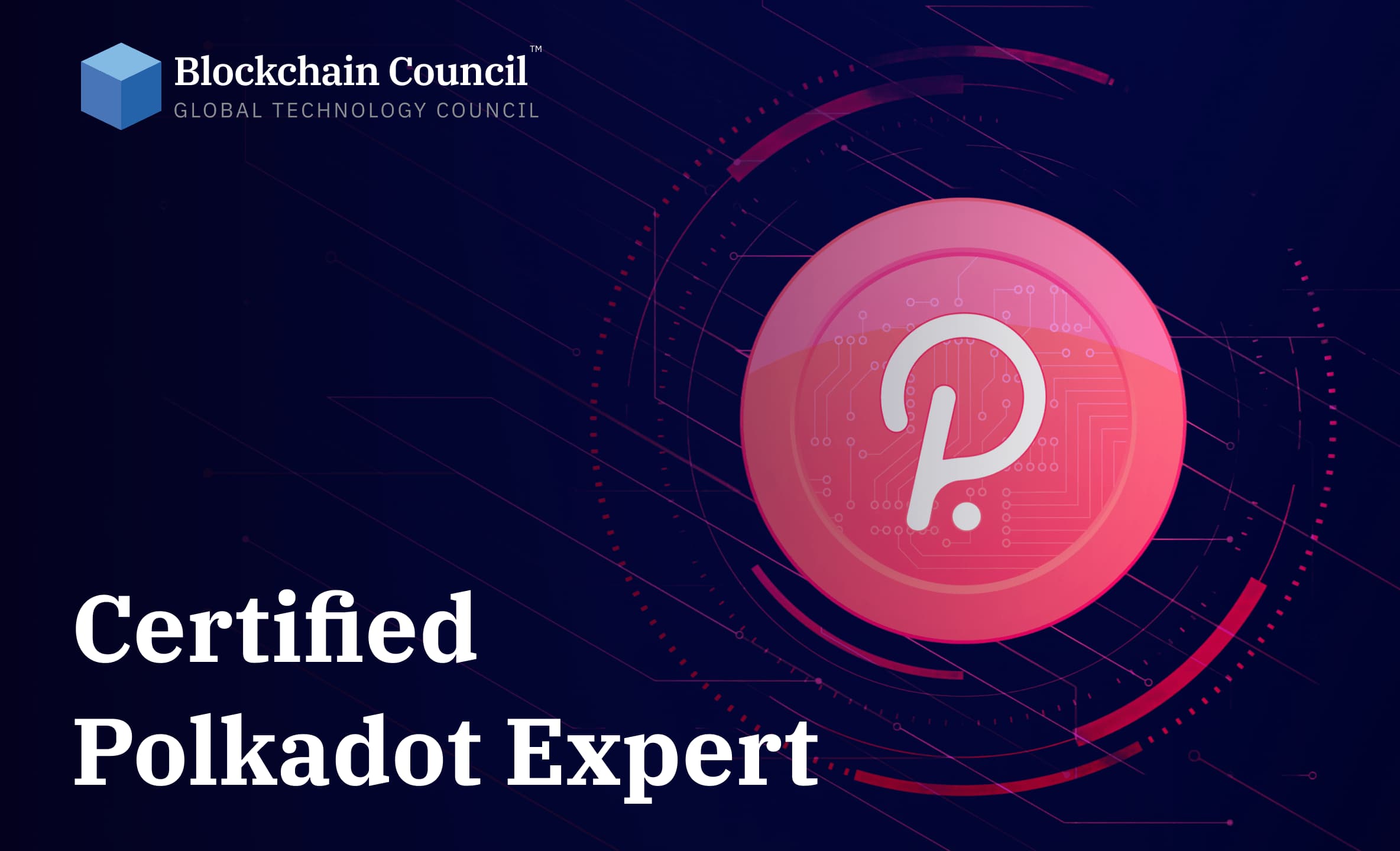 Certified Polkadot Expert hero video