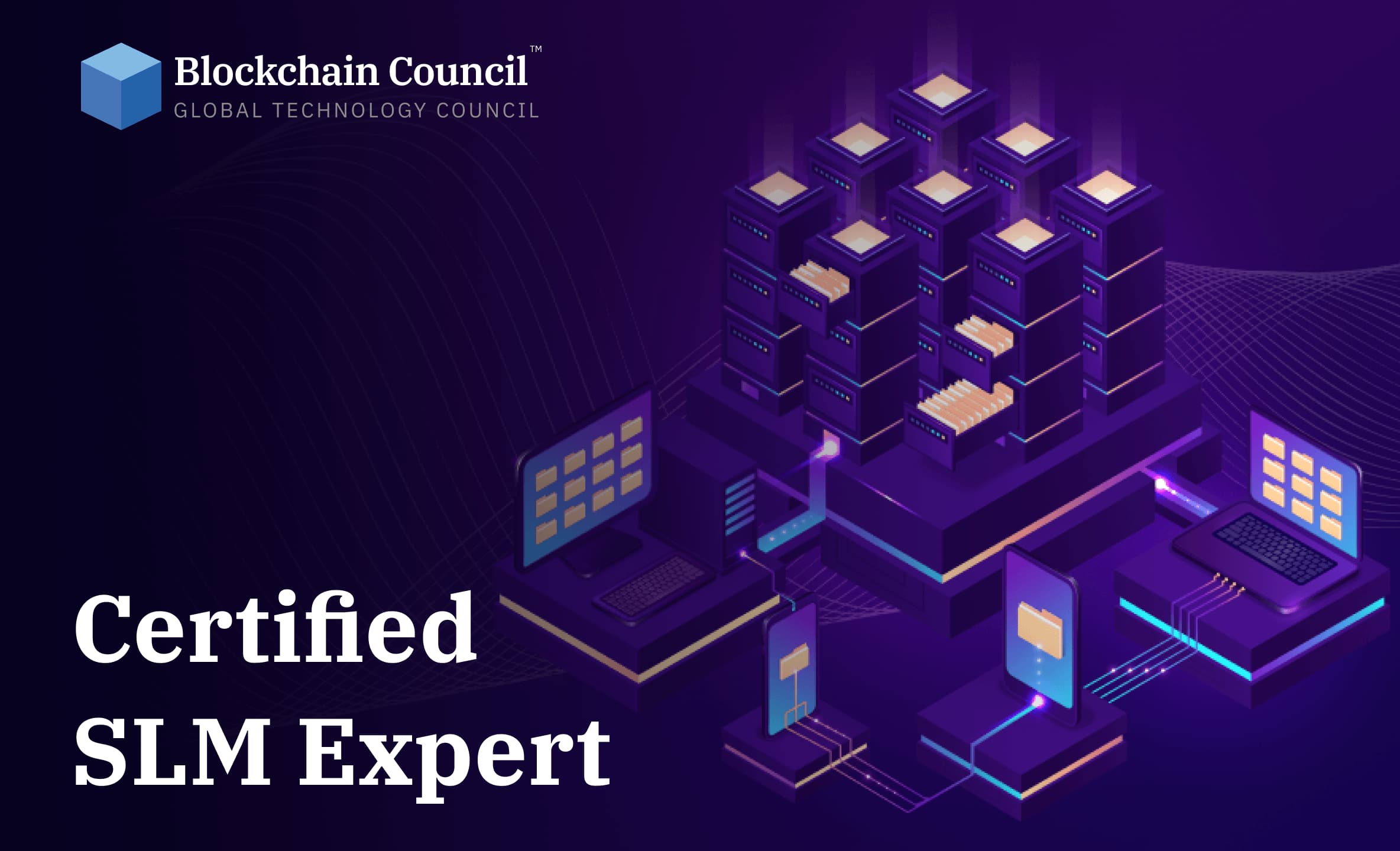 Certified SLM Expert certification preview