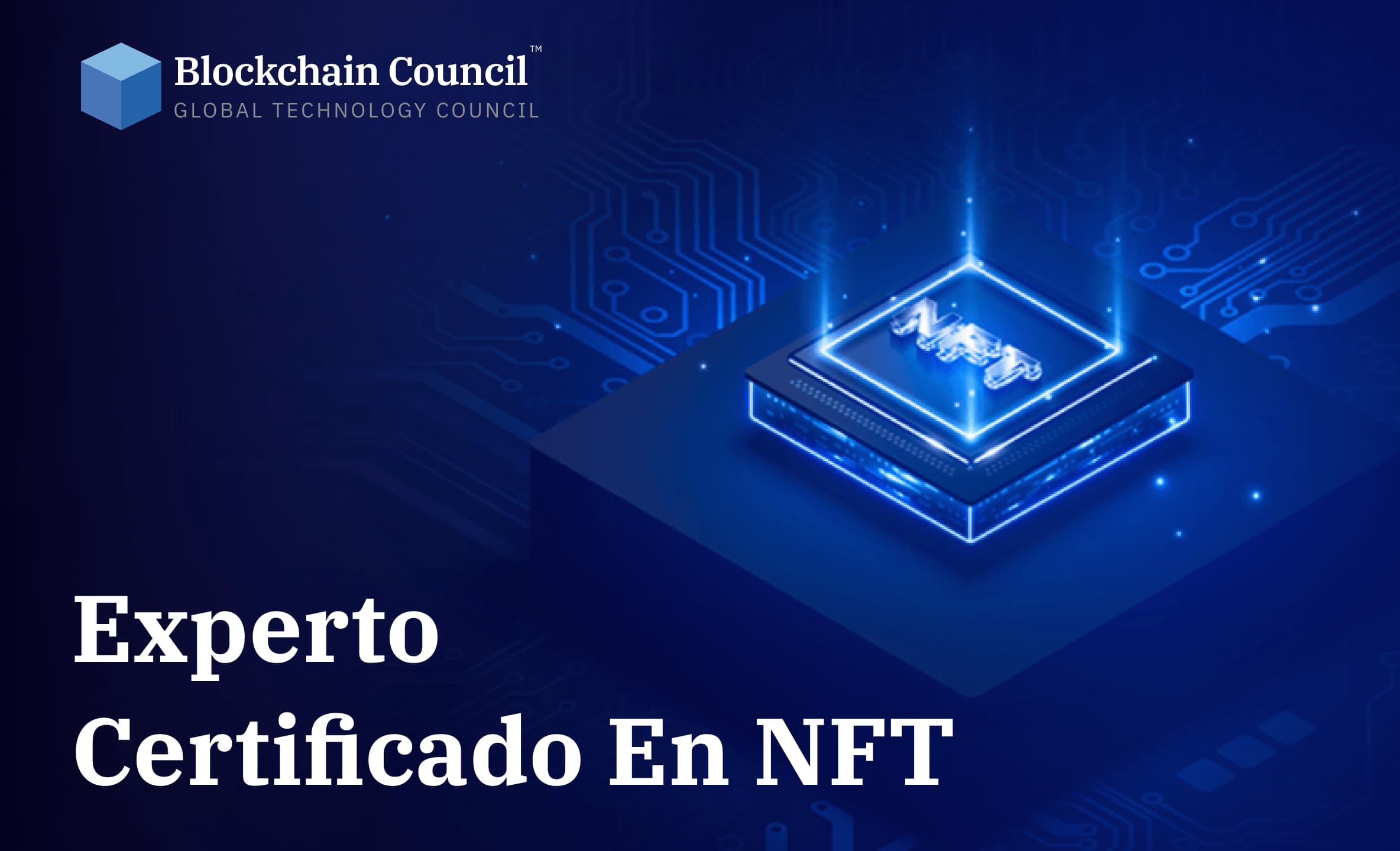 Experto Certificado en NFT hero video