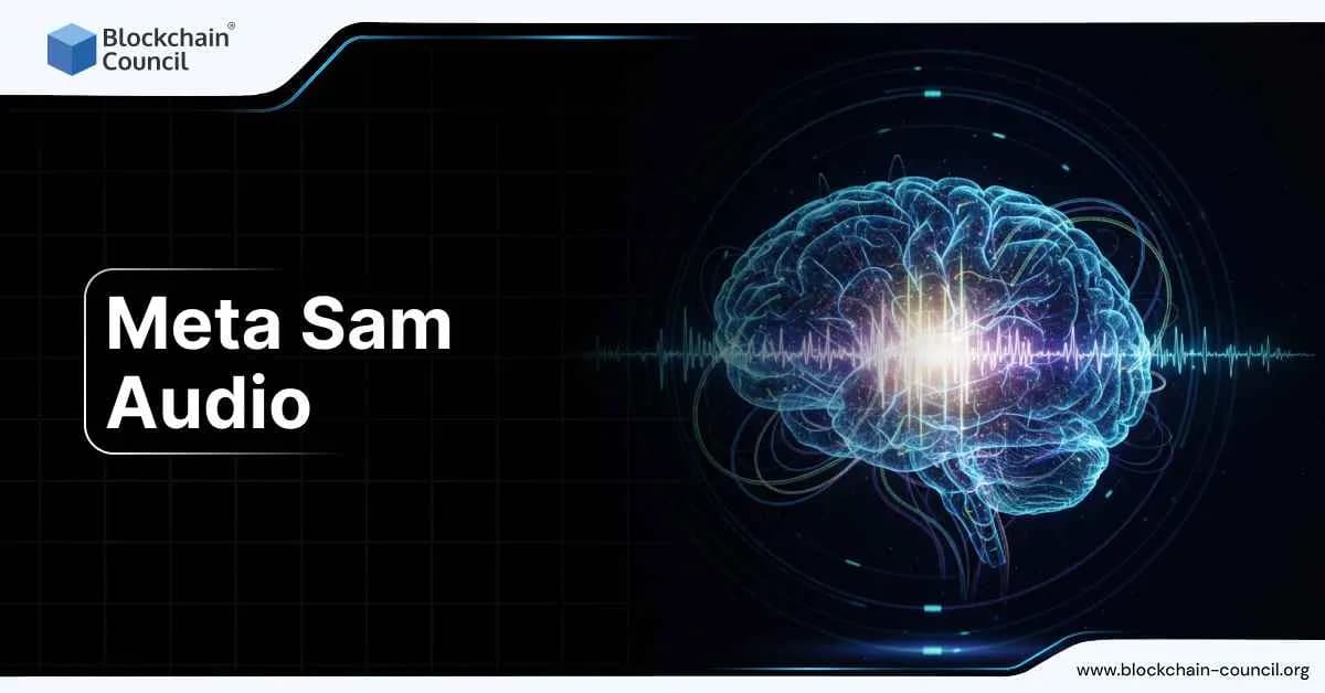 Meta Sam Audio