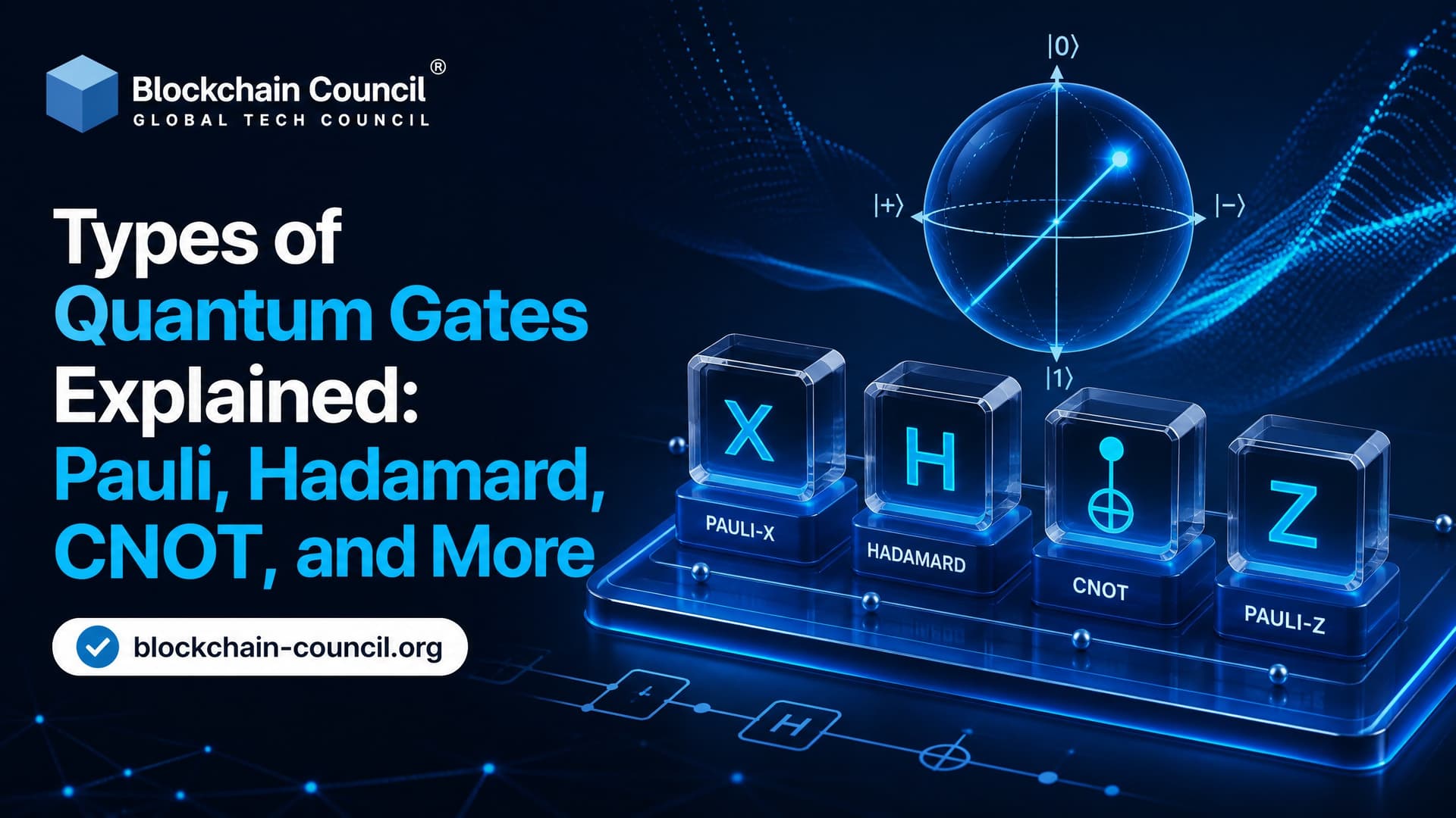 Types of Quantum Gates Explained: Pauli, Hadamard, CNOT, and More