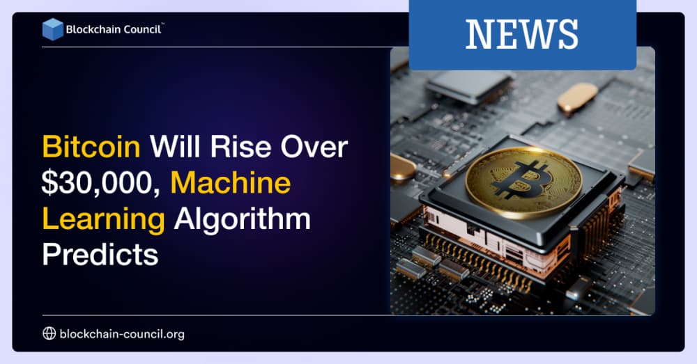 Bitcoin Will Rise Over $30,000