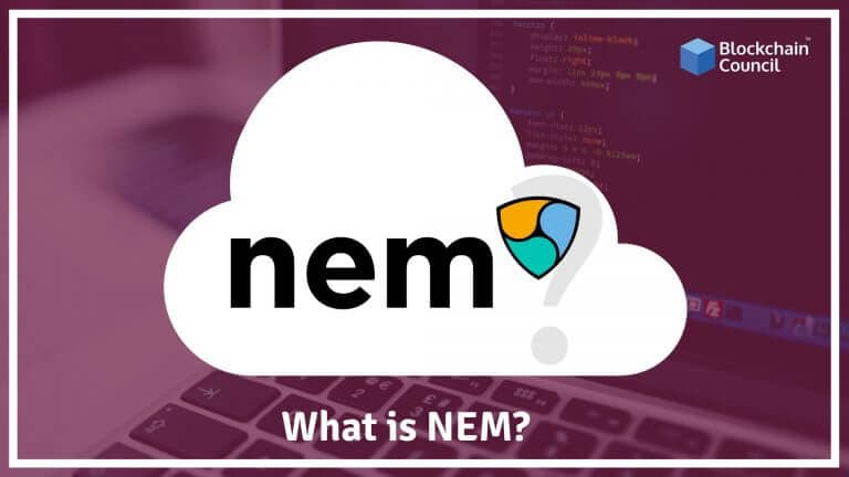what-is-NEM