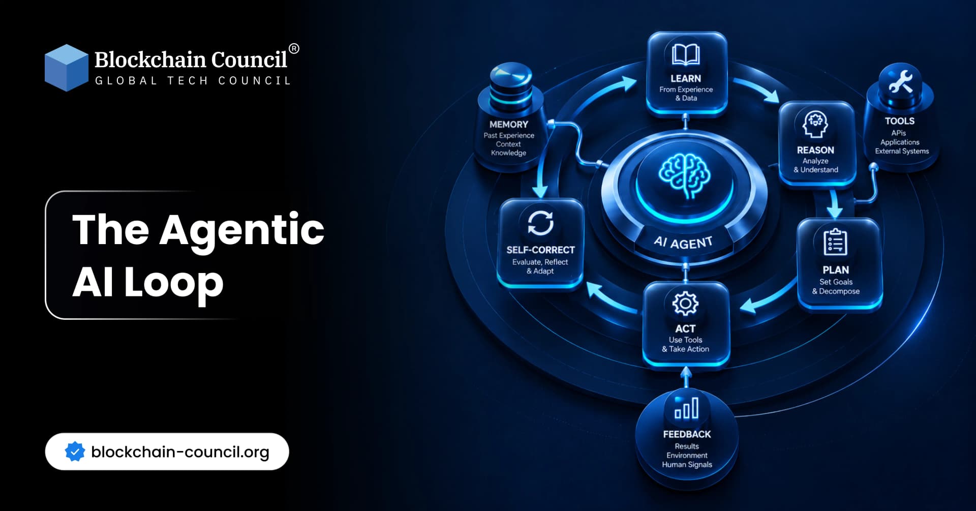The Agentic AI Loop