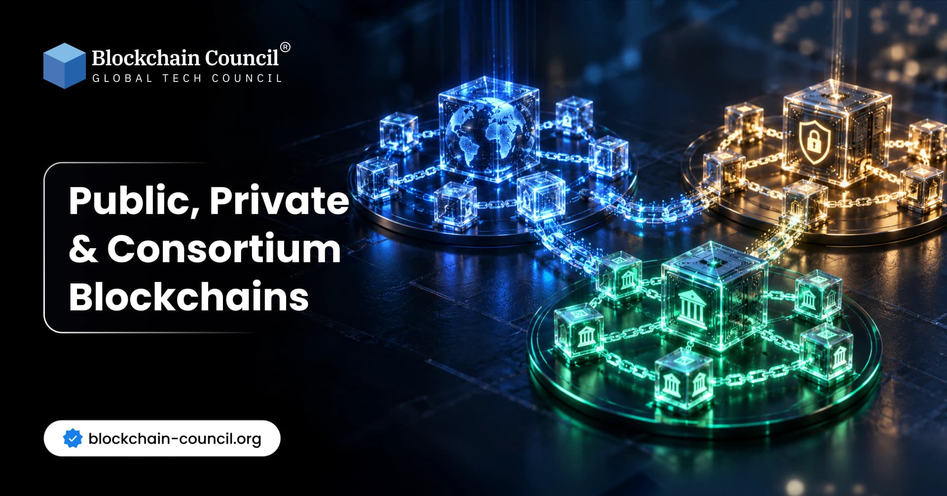 Public, Private & Consortium Blockchains
