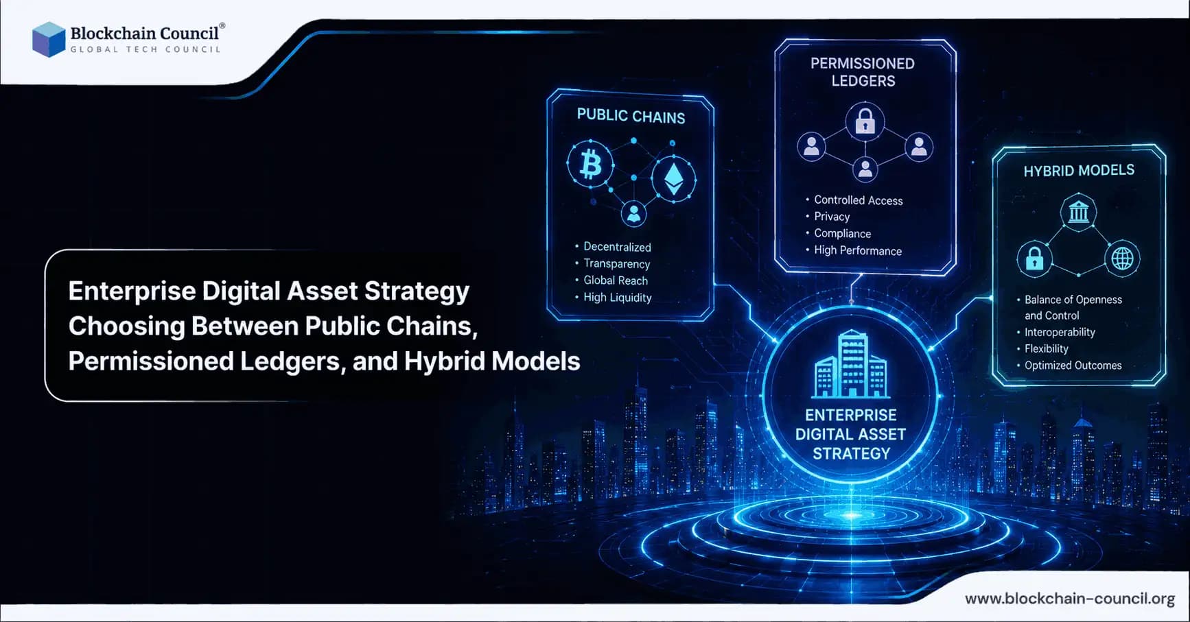Enterprise Digital Asset Strategy: Choosing Between Public Chains, Permissioned Ledgers, and Hybrid Models