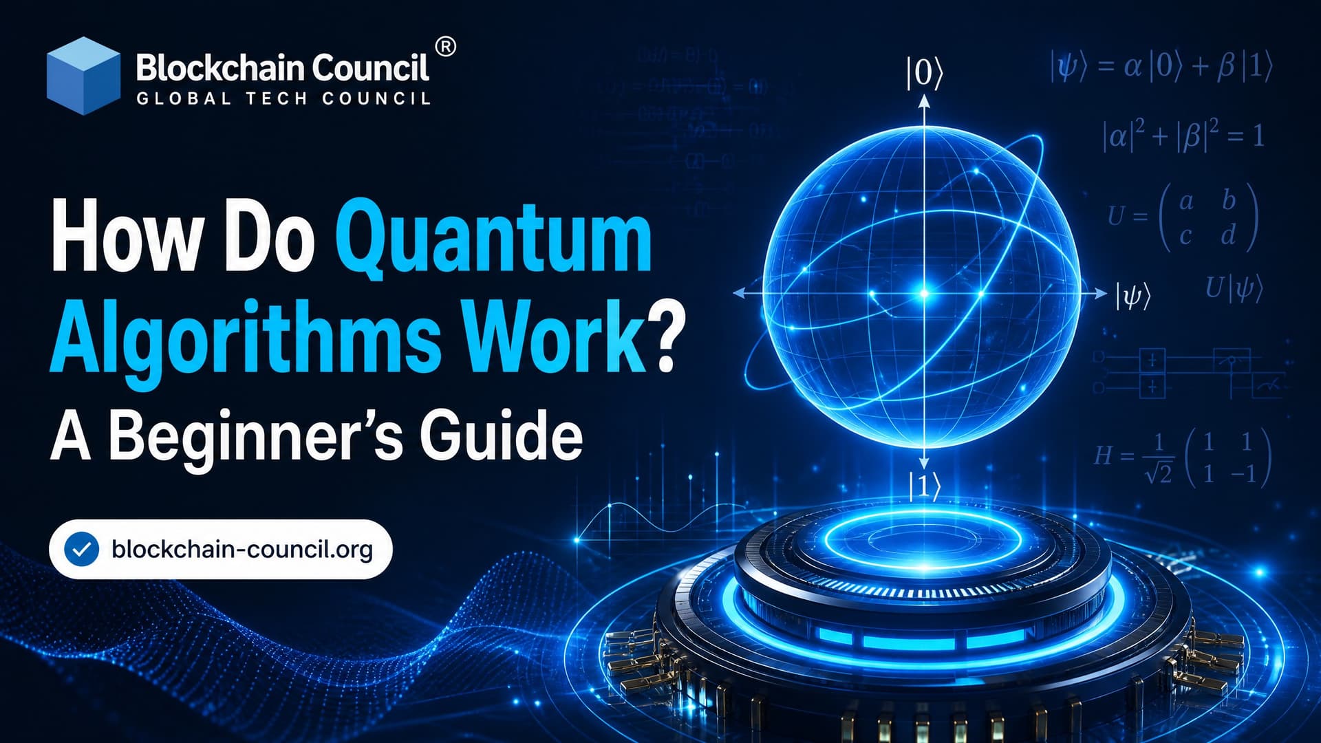 How Do Quantum Algorithms Work? A Beginner's Guide