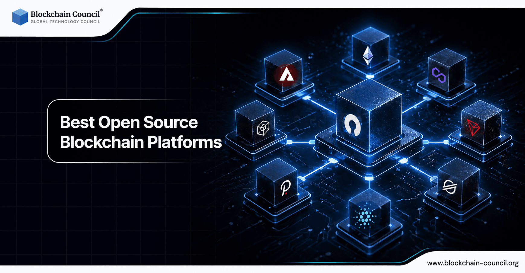 Best Open Source Blockchain Platforms