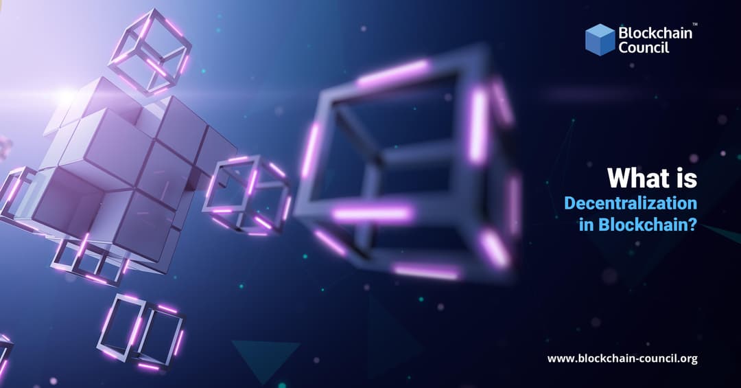 Minecraft Decentralization What is Decentralization in Blockchain? - Blockchain Council
