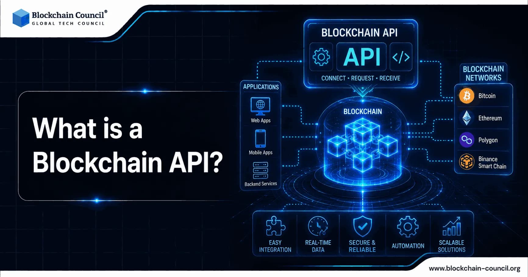 What-is-a-Blockchain-API--How-can-you-integrate-in-your-website