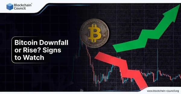Bitcoin Downfall or Rise? Signs to Watch