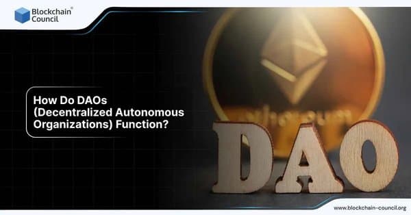 How Do DAOs (Decentralized Autonomous Organizations) Function?