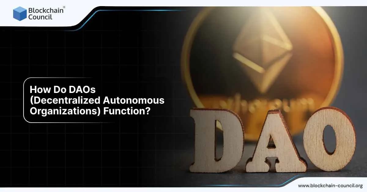 How Do DAOs (Decentralized Autonomous Organizations) Function?