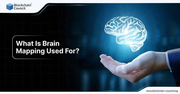 What Is Brain Mapping Used For?