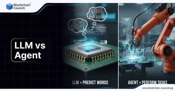 LLM vs Agent