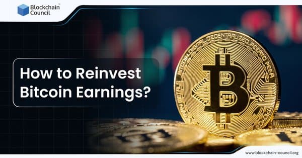 How to Reinvest Bitcoin Earnings?